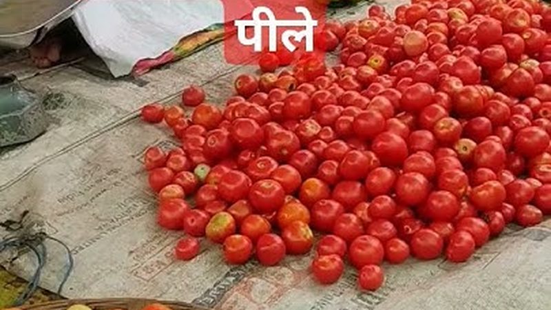 企业高管体检套餐推荐